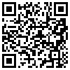 QR Code Handyversion