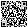 QR Code Handyversion