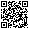 QR Code Handyversion