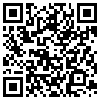 QR Code Handyversion