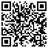 QR Code Handyversion