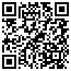 QR Code Handyversion