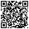 QR Code Handyversion