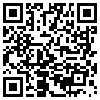 QR Code Handyversion