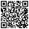 QR Code Handyversion