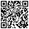 QR Code Handyversion