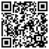 QR Code Handyversion