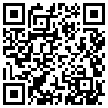 QR Code Handyversion