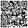 QR Code Handyversion