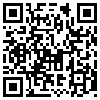 QR Code Handyversion