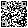 QR Code Handyversion