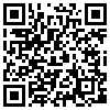 QR Code Handyversion