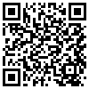 QR Code Handyversion