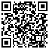 QR Code Handyversion