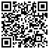 QR Code Handyversion