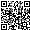 QR Code Handyversion