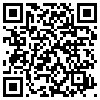 QR Code Handyversion