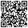 QR Code Handyversion