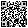 QR Code Handyversion