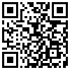 QR Code Handyversion