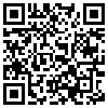 QR Code Handyversion