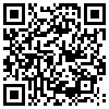 QR Code Handyversion