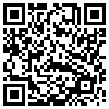 QR Code Handyversion