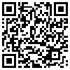 QR Code Handyversion