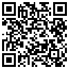 QR Code Handyversion