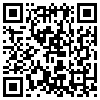 QR Code Handyversion