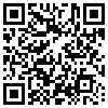 QR Code Handyversion