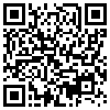 QR Code Handyversion