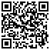 QR Code Handyversion