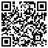 QR Code Handyversion