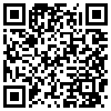 QR Code Handyversion