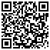 QR Code Handyversion