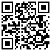 QR Code Handyversion