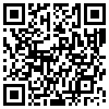 QR Code Handyversion