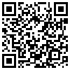 QR Code Handyversion