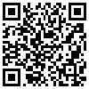 QR Code Handyversion