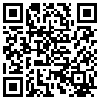 QR Code Handyversion