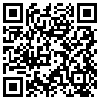 QR Code Handyversion