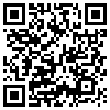 QR Code Handyversion