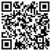 QR Code Handyversion