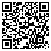 QR Code Handyversion