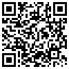 QR Code Handyversion