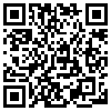 QR Code Handyversion