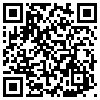 QR Code Handyversion