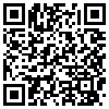 QR Code Handyversion