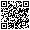 QR Code Handyversion